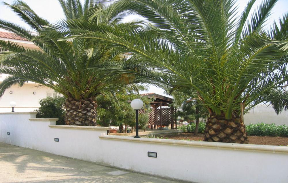 B&B Villa Teresa Lecce Extérieur photo